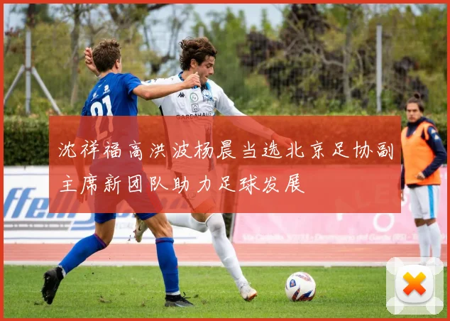 沈祥福高洪波杨晨当选北京足协副主席新团队助力足球发展