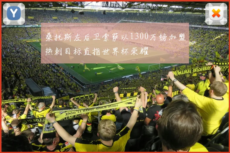 桑托斯左后卫索萨以1300万镑加盟热刺目标直指世界杯荣耀